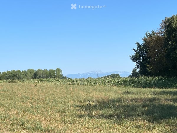 Ancienne ferme rénovée avec 3,4 hectares attenants et écurie de 7 boxes – La Chapelle-de-la-Tour 7
