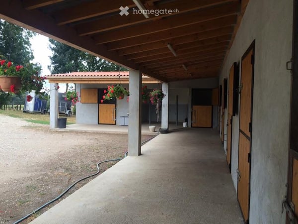 Ancienne ferme rénovée avec 3,4 hectares attenants et écurie de 7 boxes – La Chapelle-de-la-Tour 8