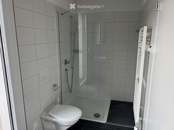 Grosszügige moderne 4.5-Zimmer Attikawohnung an zentraler Lage 10