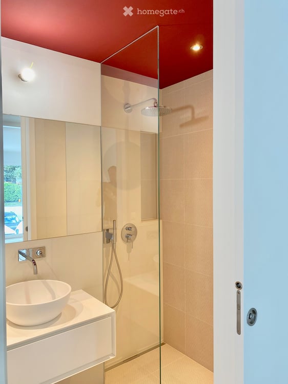 Appartement 3.5 pièces REZ JARDIN _SUD_TERRASSE_VUE_TRAVERSANT 9