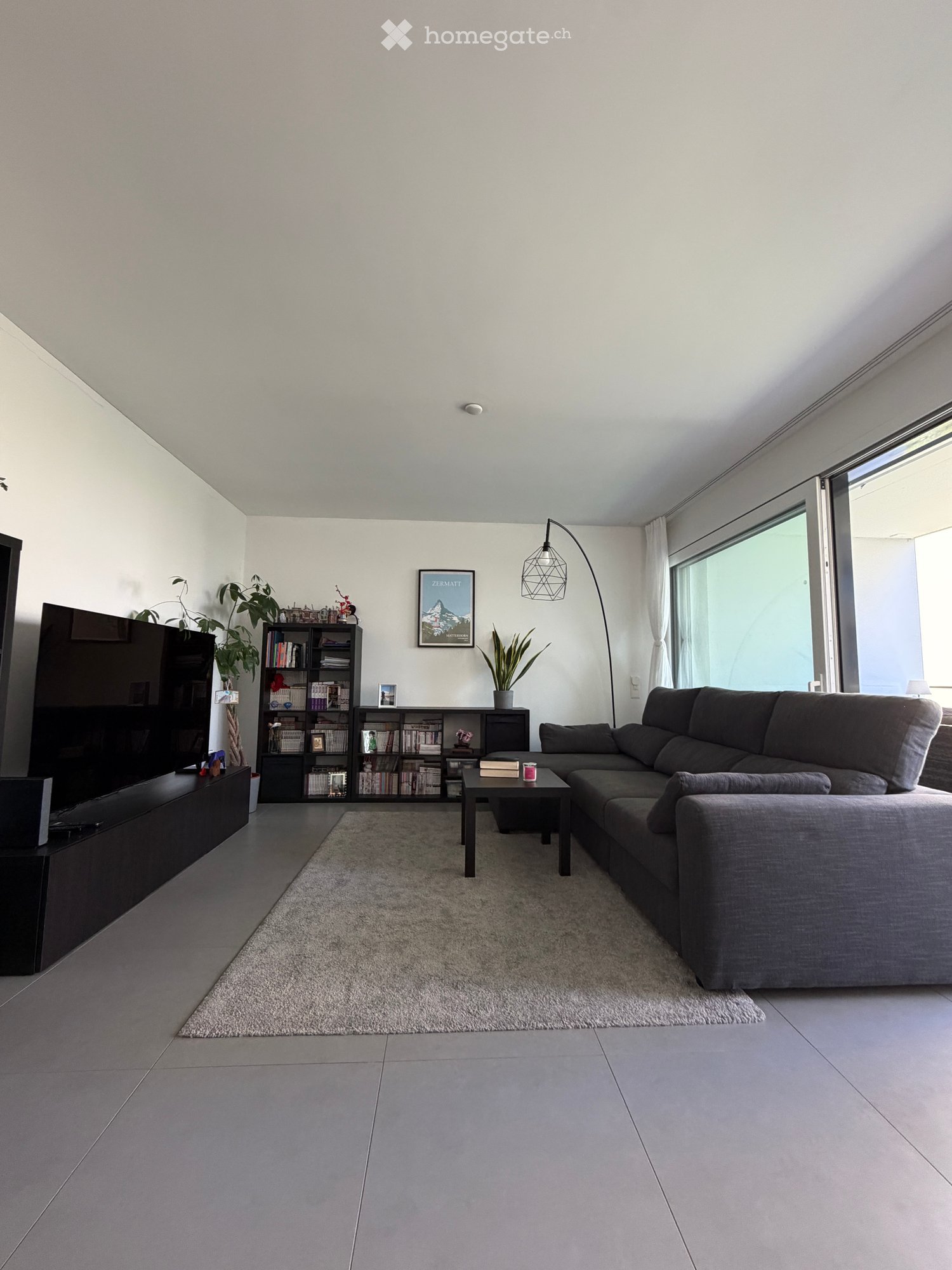 Modern living room with grey sectional sofa, coffee table, bookshelf, TV, floor lamp, and plants.