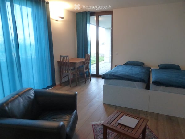 Grosse möblierte 1-Zimmer-Wohnung in Winterberg ZH 3