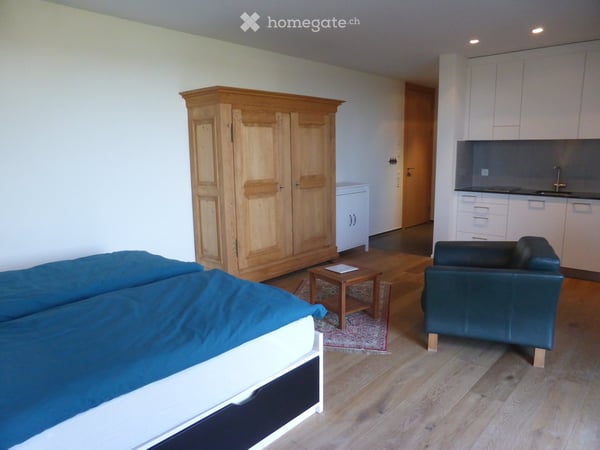 Grosse möblierte 1-Zimmer-Wohnung in Winterberg ZH 2