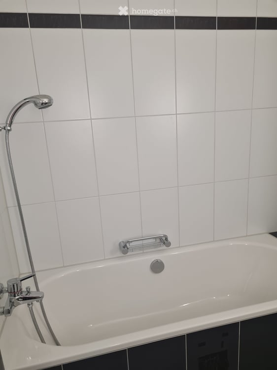 Tierfreundliche 4.5-Zimmer-Wohnung mit 2 Balkonen,  in Birmensdorf ZH – ab 01.09. 2026 verfügbar 19