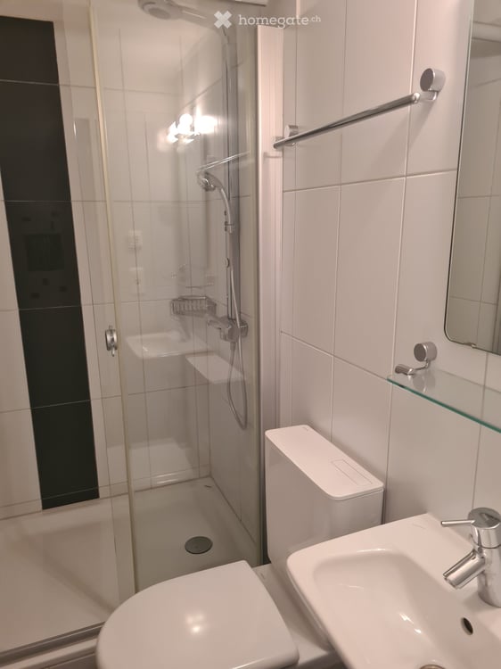 Tierfreundliche 4.5-Zimmer-Wohnung mit 2 Balkonen,  in Birmensdorf ZH – ab 01.09. 2026 verfügbar 17
