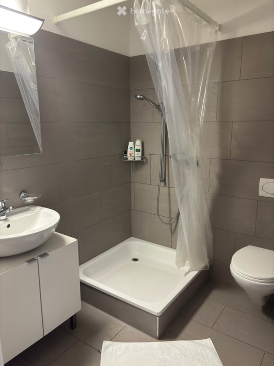 Grosszügige 3.5-Zimmer-Wohnung in Oberhasli 6