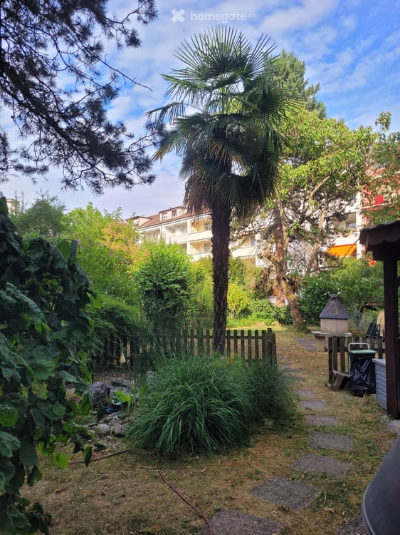 Helle 1-Zimmer-Wohnung im EG am Wasgenring – ab 01.09.2026 4