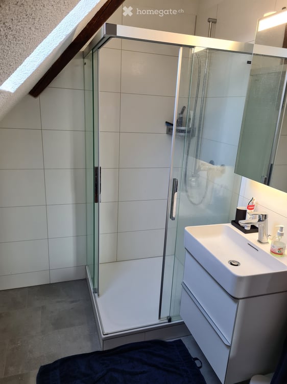 Dachwohnung in Wettingen 5