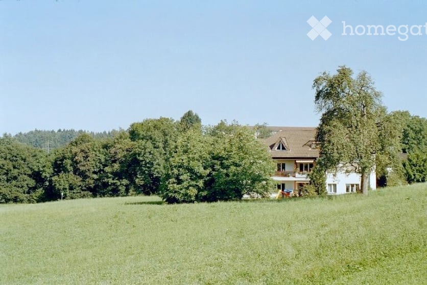 A two-story white house with a brown roof, surrounded by a lush green field and trees.