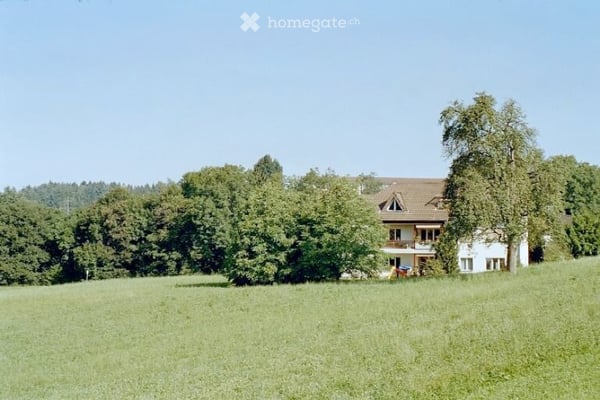 Wohnen im Grünen mit unverbaubarer Sicht 1