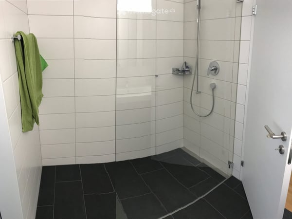 Exklusive Wohnung mit grosse Terrasse und Nähe Bahnhof 11