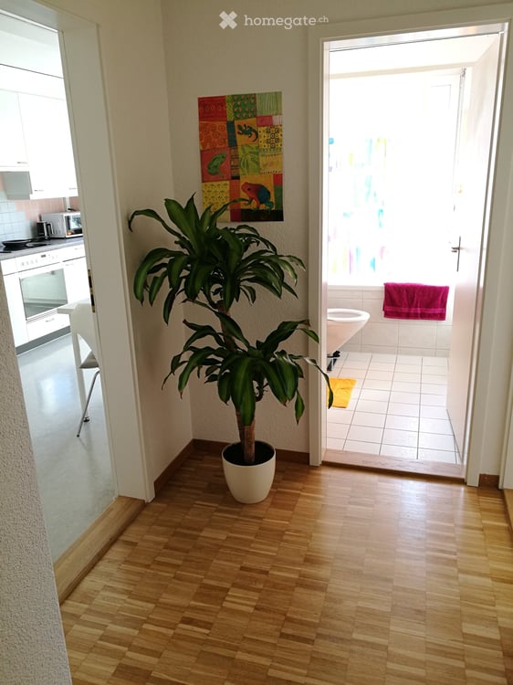 Mitbewohnerin gesucht 5