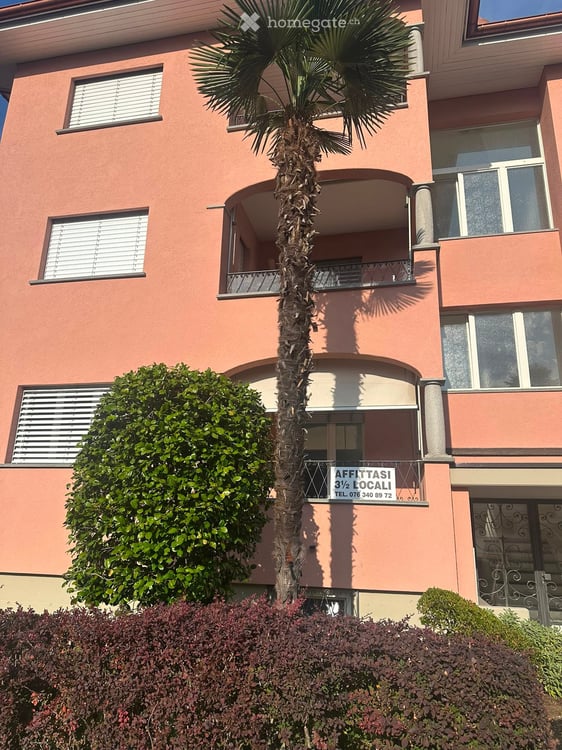 3.5-Zimmer-Wohnung  in Ascona – sofort verfügbar   Appartamento 3,5 vani, disponibile da subito