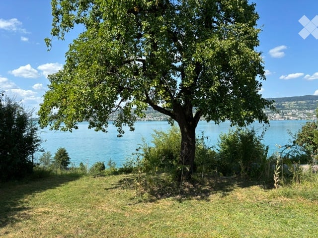 Lush green garden with a large tree, overlooking a serene lake and distant hills under a clear blue sky.