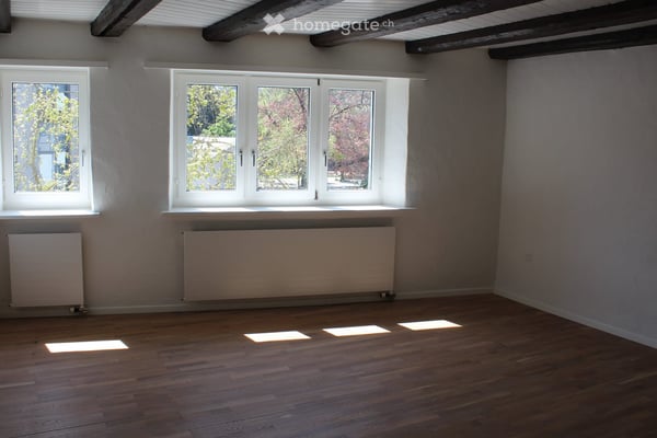Innen-Sanierung im Jahr 2021 – Wohnung mit Lift 4