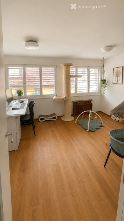 Duplex-/Maisonette-Wohnung in Frauenfeld 9