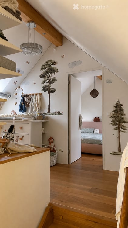 Duplex-/Maisonette-Wohnung in Frauenfeld 11