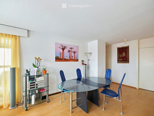4.5 Zimmer Wohnung in einem modern renovierten Gebäude, Erdsondenheizung und PV-Anlage auf dem Dach 8