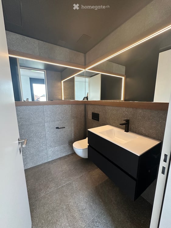 Exklusive 5,5 Attikawohnung/Penthouse in sehr begehrter Lage mit Alpenblick 4