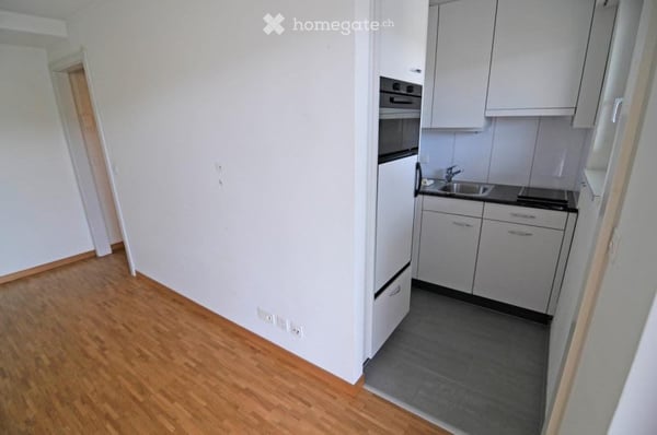 Gemütliche 1-Zimmer-Wohnung mit Balkon und schöner Aussicht in Küssnacht am Rigi 5