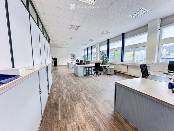 Gewerbe in Freienbach 3