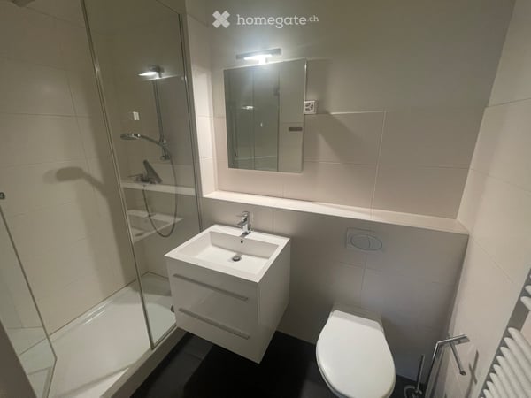 6 1/2-Zimmer Basler Stadthaus an gesuchter Lage zu verkaufen 11