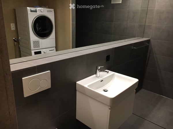 Schöne 2 1/2 Zimmer Loftwohnung in Mellingen 7