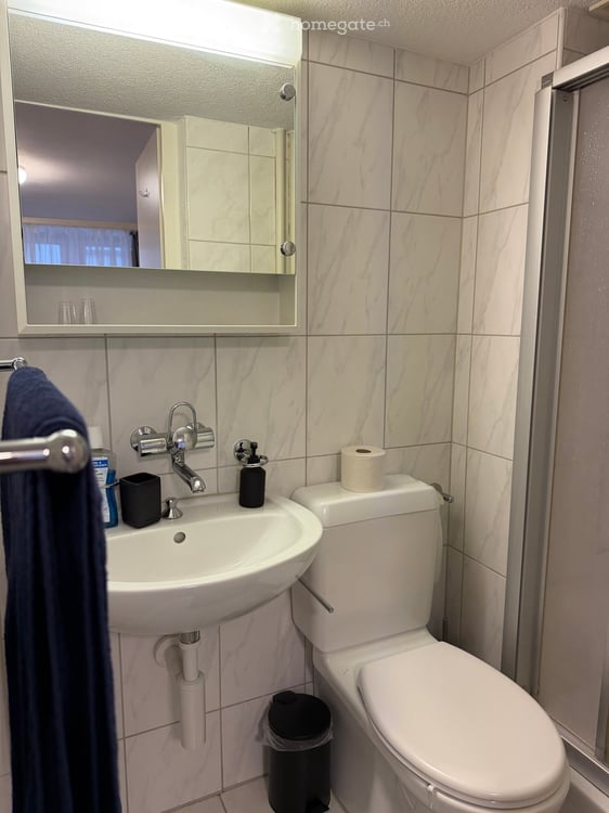 Möbliertes 1 Zimmer-Apartment - Kreis 1 Zürich – sofort verfügbar - flexible Konditionen 5