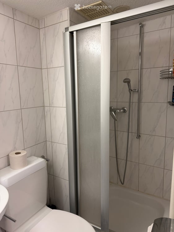 Möbliertes 1 Zimmer-Apartment - Kreis 1 Zürich – sofort verfügbar - flexible Konditionen 6
