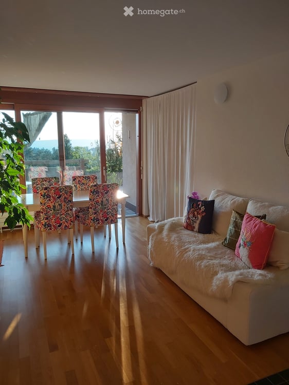 Charmante 2-Zimmer-Terrassenwohnung in Edlibach 3