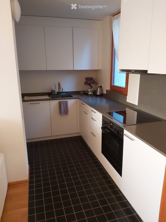 Charmante 2-Zimmer-Terrassenwohnung in Edlibach 4