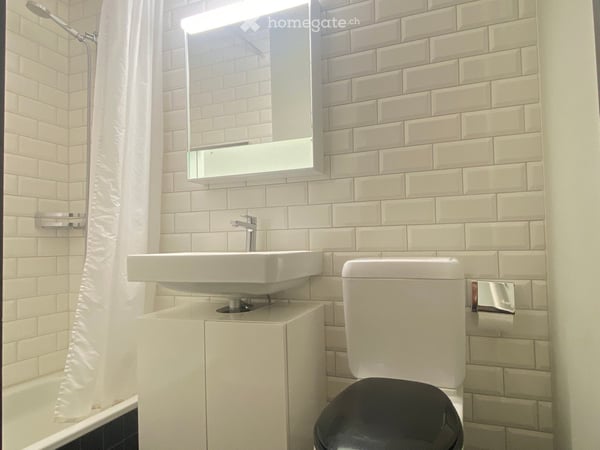 Möblierte 1.5-Zimmer-Wohnung an der Kanzleistrasse in Zürich 5