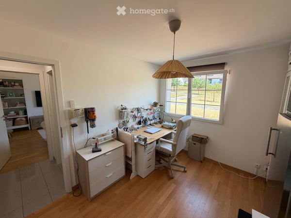 Spacious 6.5-Room Duplex Apartment for Rent in Gilly 10