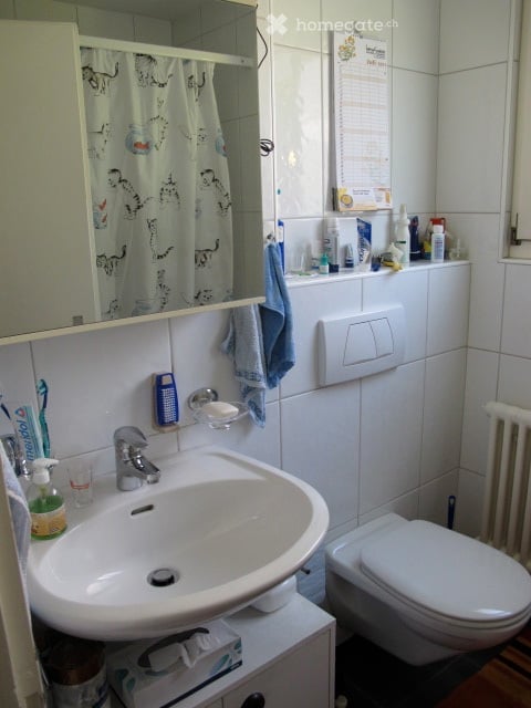 Gemütliche 3-Zimmer-Wohnung mit Balkon in Winterthur 4