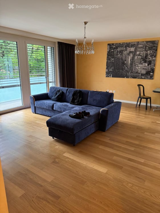 Directement du proprietaire: Grand appartement 3 pièces avec balcon à Carouge 6