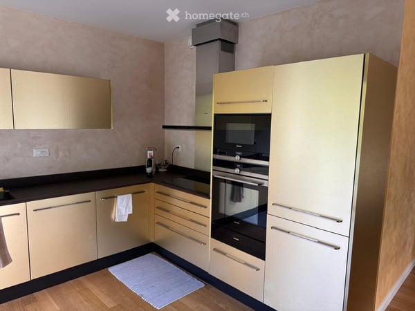 Directement du proprietaire: Grand appartement 3 pièces avec balcon à Carouge 10