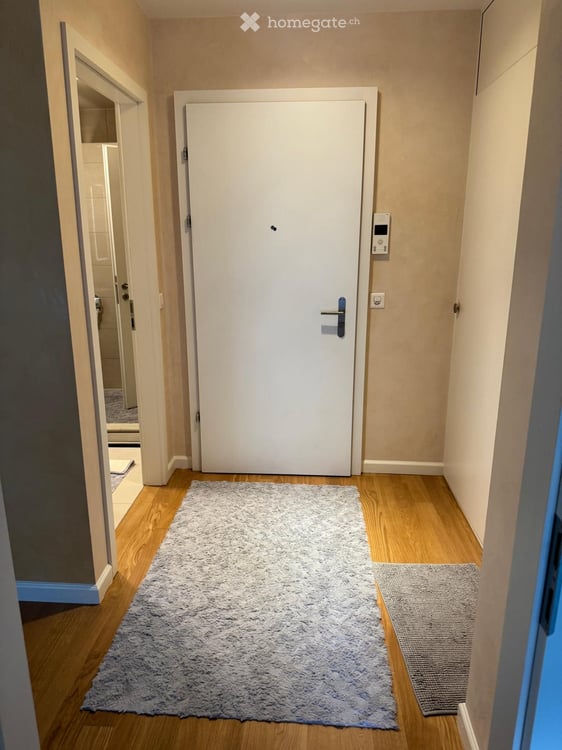 Directement du proprietaire: Grand appartement 3 pièces avec balcon à Carouge 2