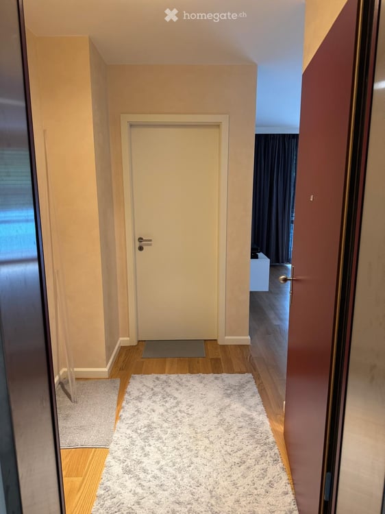 Directement du proprietaire: Grand appartement 3 pièces avec balcon à Carouge