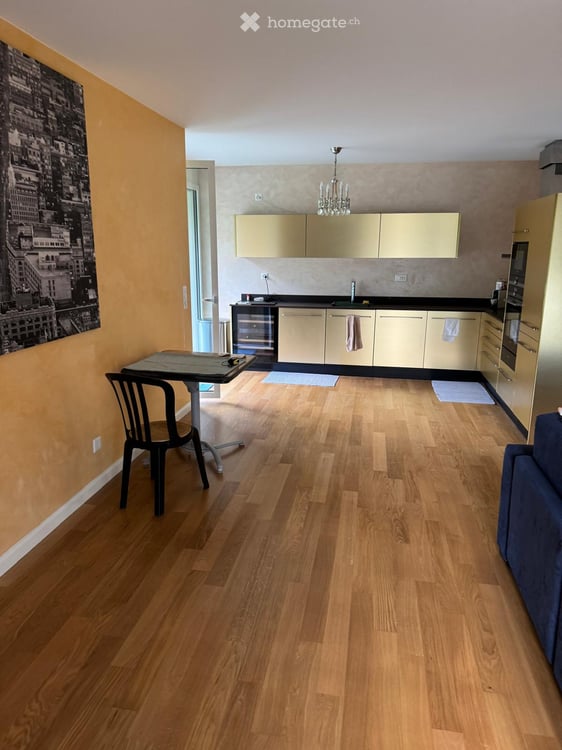 Directement du proprietaire: Grand appartement 3 pièces avec balcon à Carouge 8