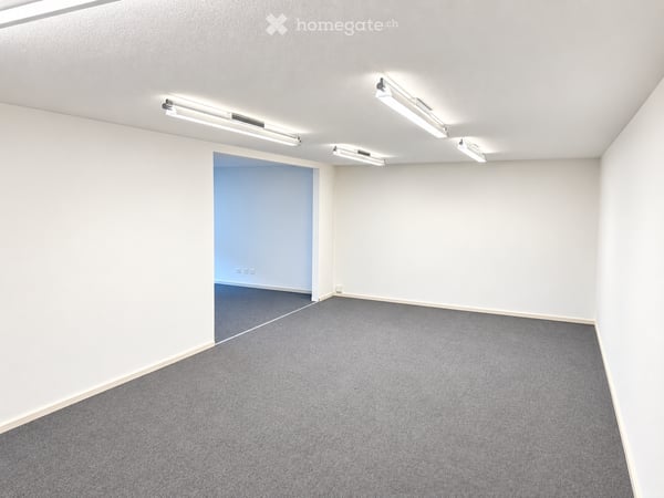 Büroraum im Tiefparterre mit Tageslicht zu vermieten – Schaffhauserstrasse 179 4