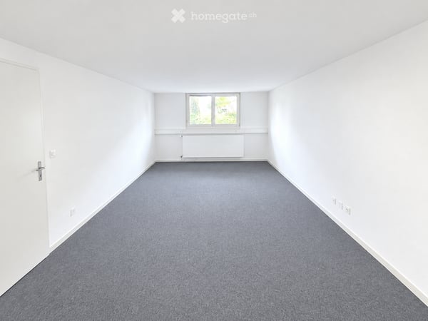 Büroraum im Tiefparterre mit Tageslicht zu vermieten – Schaffhauserstrasse 179 2