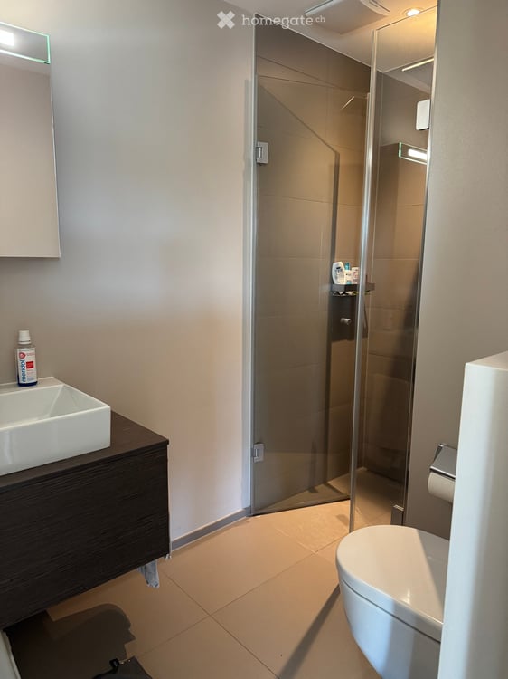 Exklusive 4.5-Zimmer-Wohnung mit hochwertigem Ausbaustandard 7