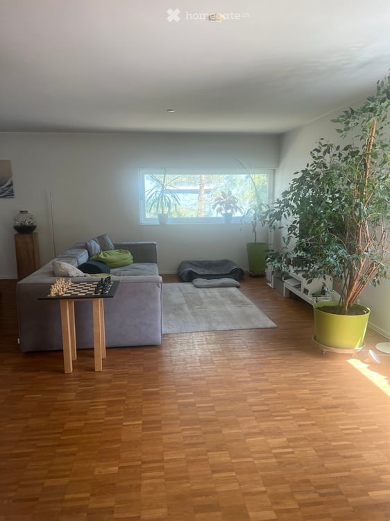 Grosszügige und helle 4.5-Zimmer-Wohnung mit privatem Eingang und grossem Garten 1