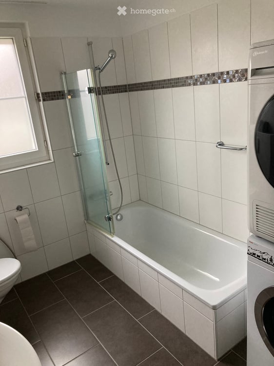 Geräumige 6.5-Zimmer-Maisonette-Wohnung in Oberhasli – ab 1. Sept 2026 (evtl. 15 Aug ) verfügbar 4