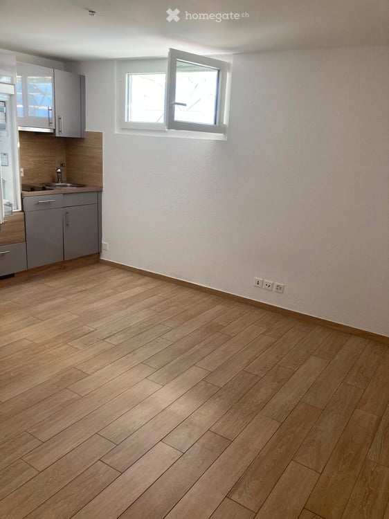 4.5-Zimmer-Wohnung EG mit 1.5 Zimmer Atelier UG – ab 1. Sept 2026 (ab 20 Aug 2026) verfügbar 19