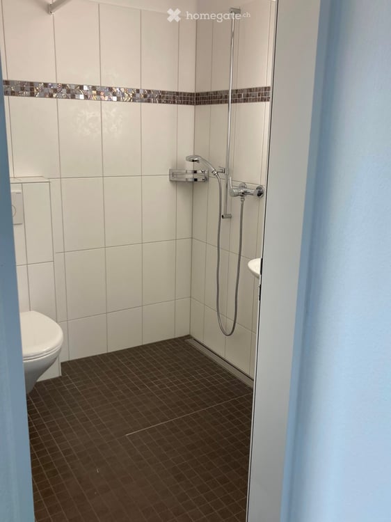 4.5-Zimmer-Wohnung EG mit 1.5 Zimmer Atelier UG – ab 1. Sept 2026 (ab 20 Aug 2026) verfügbar 16