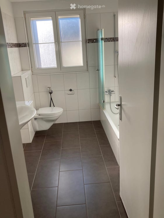 4.5-Zimmer-Wohnung EG mit 1.5 Zimmer Atelier UG – ab 1. Sept 2026 (ab 20 Aug 2026) verfügbar 14