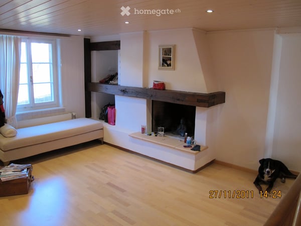 Doppeleinfamilienhaus in Rafz 3