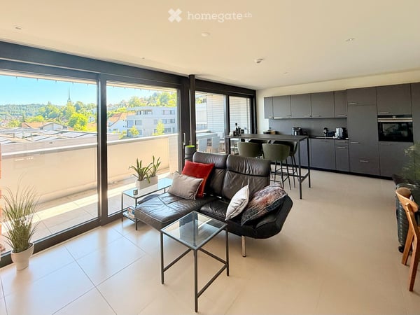 Moderne 2.5-Zimmer-Neubauwohnung mit traumhaftem Seeblick in Beinwil am See