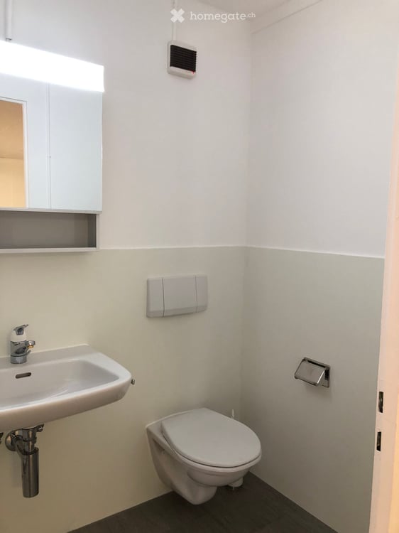 Helles 2.5-Zimmer-Loft an der Hauptstrasse in Bottenwil 13
